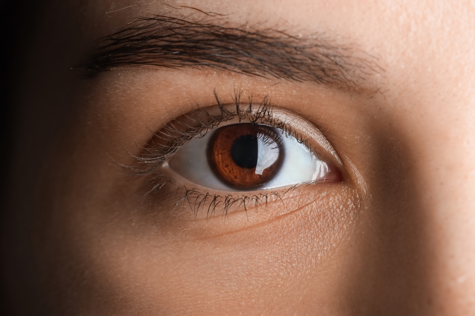 Close-up of a human eye