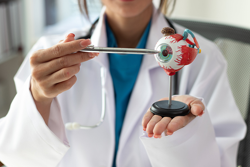 A Comprehensive Guide to Corneal Transplant in Singapore